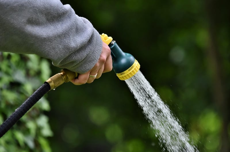Watering Globe